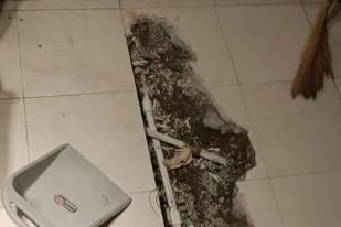 庆安卫生间漏水检测电话
